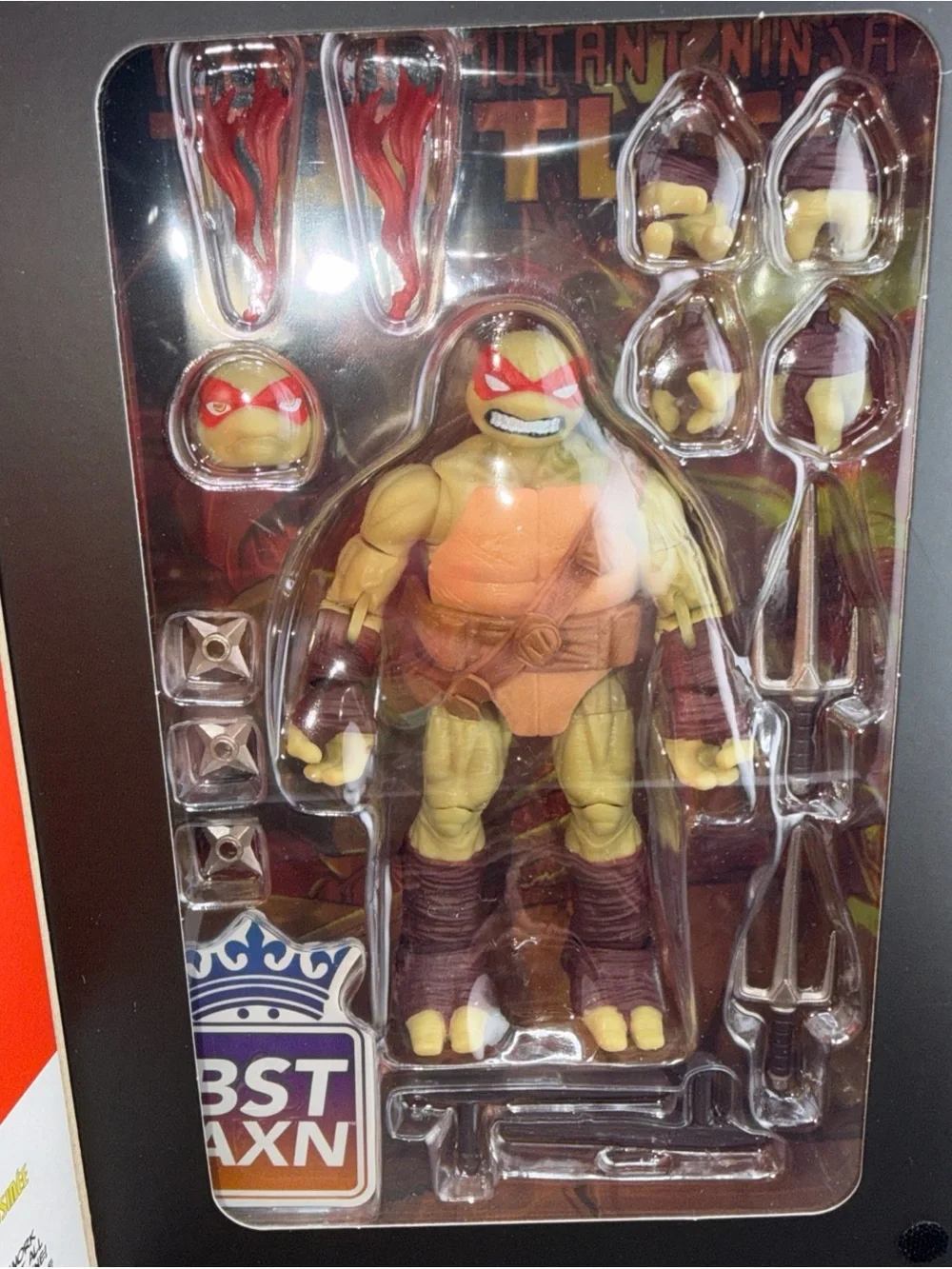 Teenage Mutant Ninja Turtles Figures + Comics TMNT Loyal Subject NIB LEO RAPH
